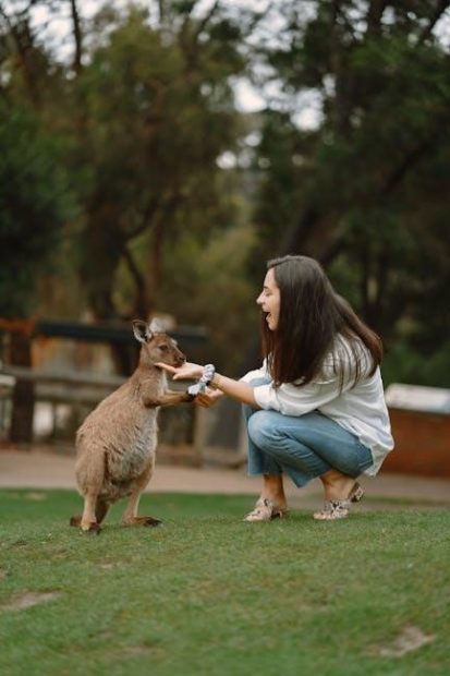kangaroo feeding pump manual