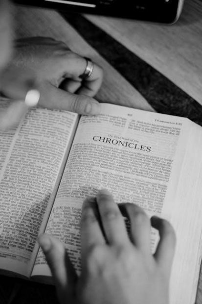 the bible study book pdf
