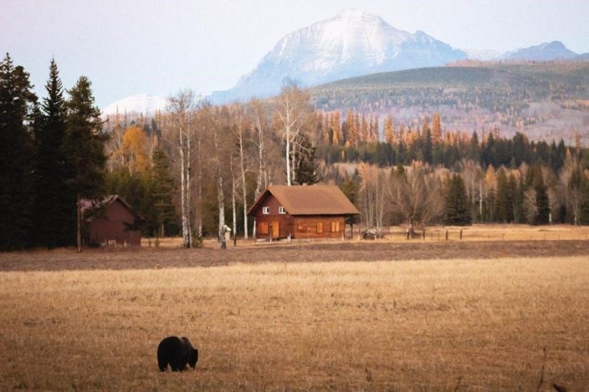 the bear came over the mountain pdf